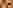 Andenbewohner haben sich genetisch an die Kartoffel angepasst
