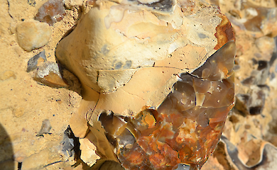 Alte Menschen in Australien "h&auml;rteten" vor 40.000 Jahren Stein mit Feuer
