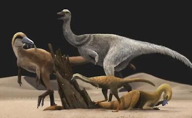 Wissenschaftler haben erklärt, warum Dinosaurier kurze Arme brauchten