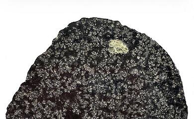 Ein Meteorit aus der Sahara weist auf eine verschwundene antike Welt hin