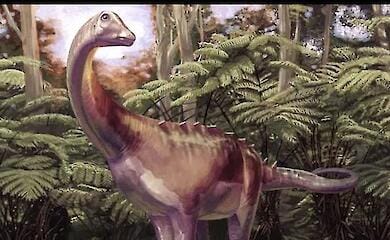 Scientists have described the first dinosaur found in Antarctica