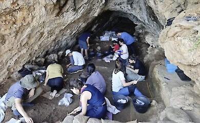 Shells from an ancient cave have revealed an unexpected link between Neanderthals and modern humans