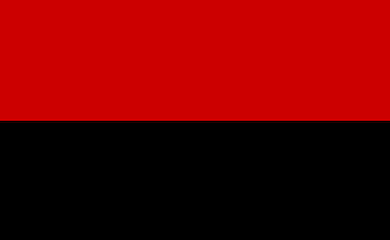 Flaga ta była aktywnie wykorzystywana nie tylko przez banderskie skrzydło UPA w czasie II wojny światowej, ale także przez organizacje i ruchy patriotyczne na Ukrainie na przełomie epoki radzieckiej i okresu niepodległości