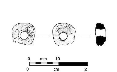 Wie kam eine 8.500 Jahre alte Meeresperle Hunderte von Kilometern von der Küste entfernt an?