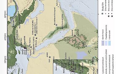 Tief in Arabien wurden Spuren der Neandertaler gefunden – doch es wurden dort keine Knochen gefunden